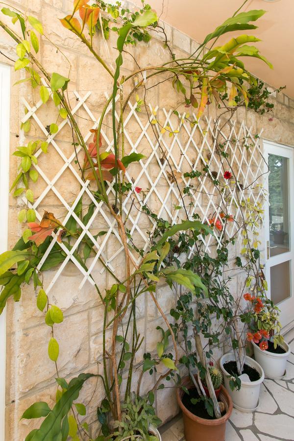 Yellow Room Guesthouse Dubrovnik Bagian luar foto